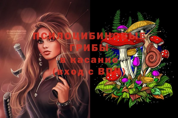 apvp Алексеевка