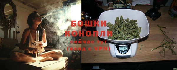 стафф Покровск