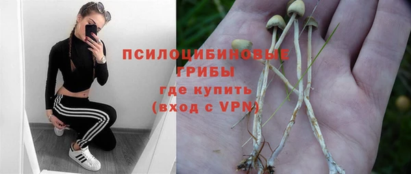 apvp Алексеевка