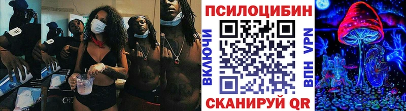 мега   Кудрово  Псилоцибиновые грибы мицелий  где можно купить наркотик 